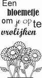 een bloemetje om je op te vrolijken