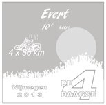 4-daagse spiegel 30x30 cm