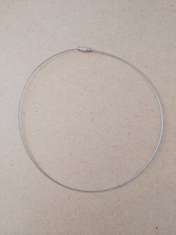 2060 Zilver (45 en 54 cm)