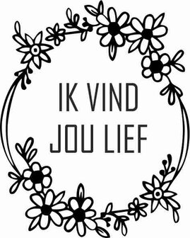 Ik vind je lief