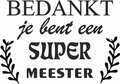 Bedankt je bent een super meester