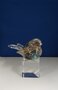 Mini Urn Glazen vogel Groen, Zeegroen met gouden design strepen