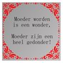 Spreuk spiegel Moeder worden wonder moeder zijn gedonder