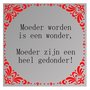 Spreuk spiegel Moeder worden wonder moeder zijn gedonder